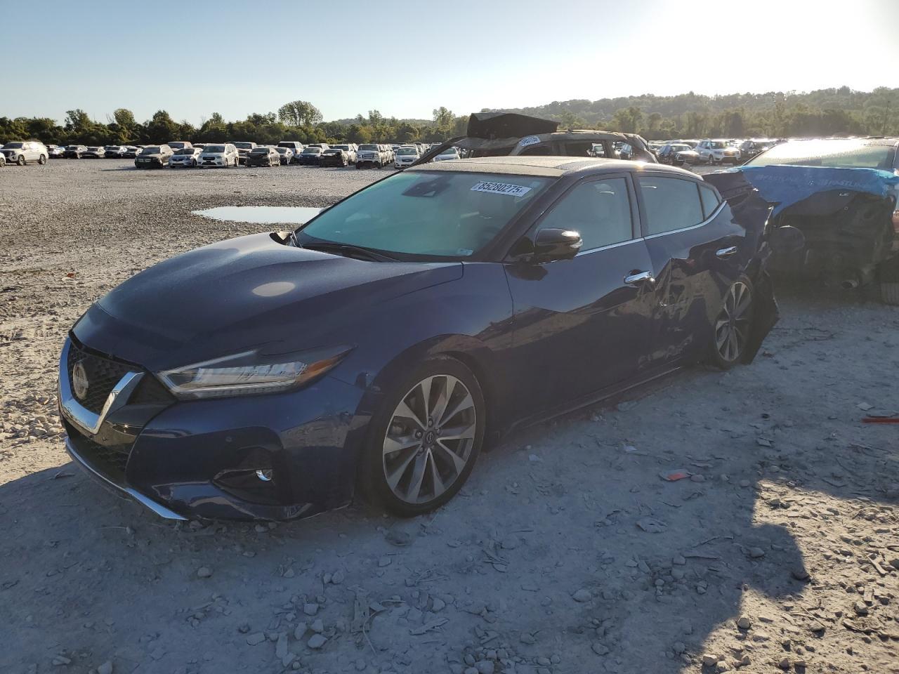 2023 NISSAN Maxima
