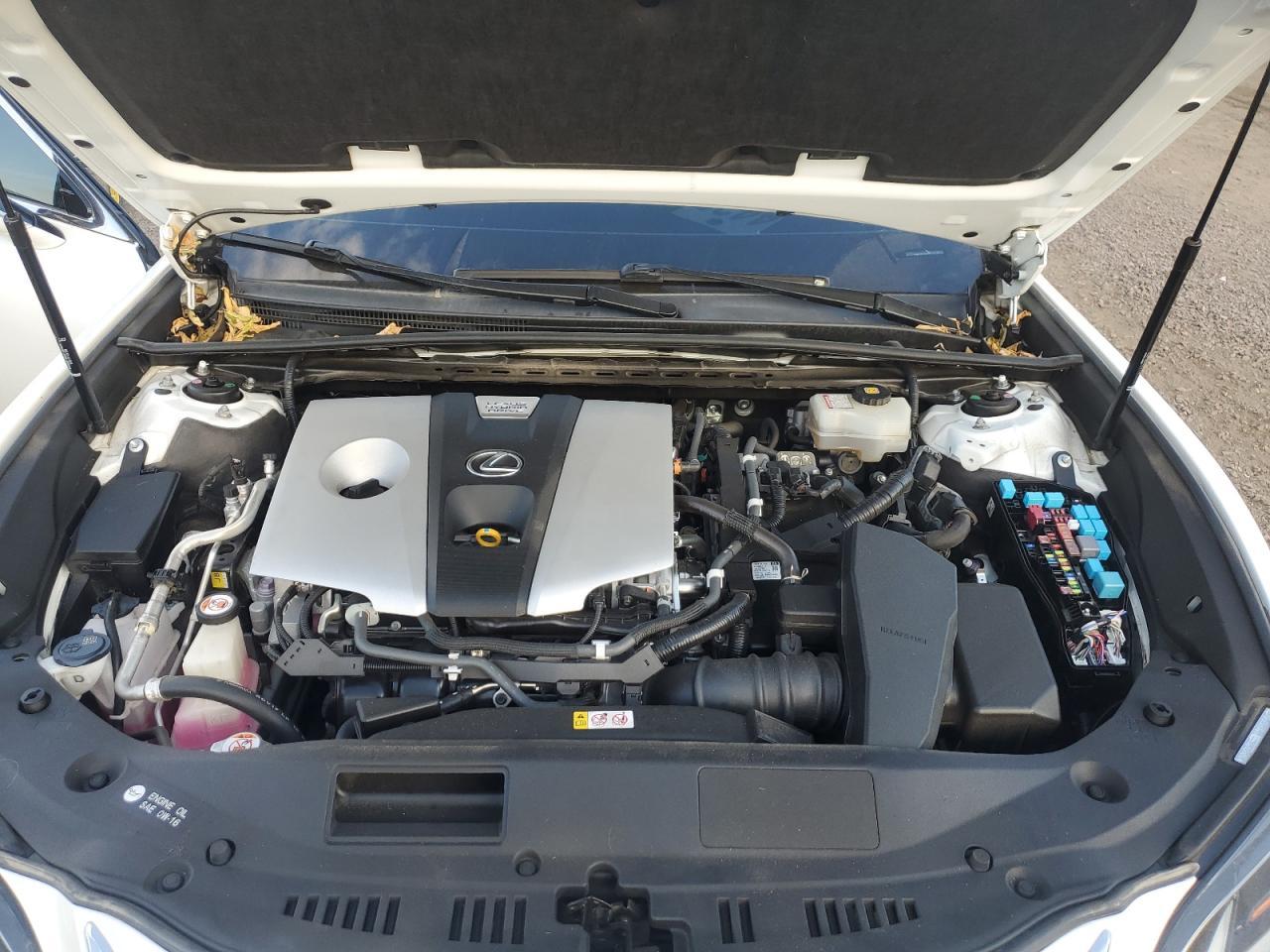 2019 LEXUS ES 300H