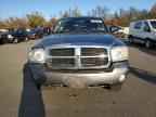 2005 DODGE Dakota