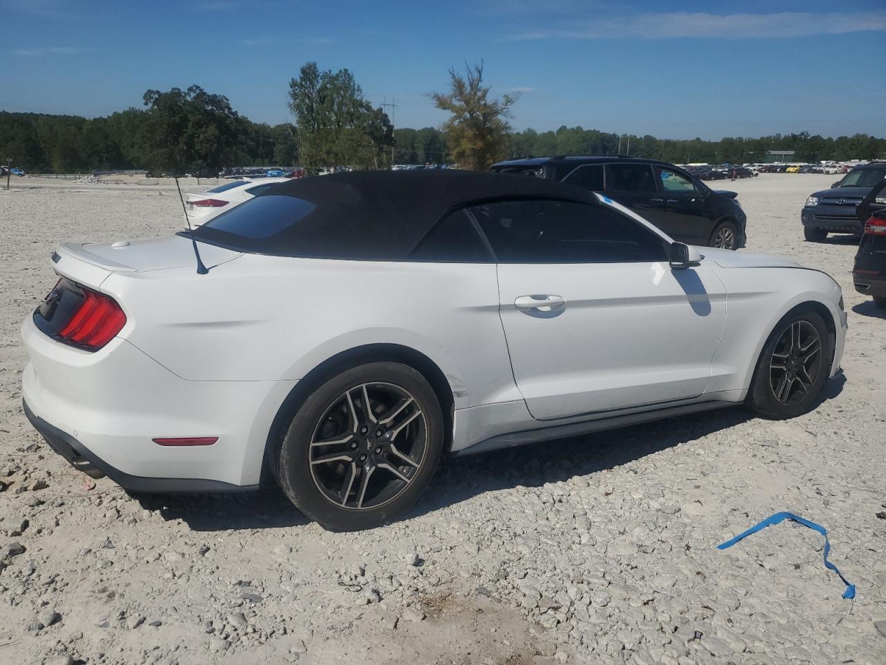 2019 FORD MUSTANG