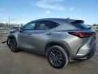 2025 LEXUS NX 250