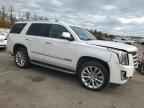2019 CADILLAC ESCALADE