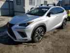 2019 LEXUS Nx