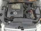 2004 NISSAN Maxima