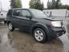 2013 HONDA PILOT