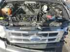 2009 FORD ESCAPE