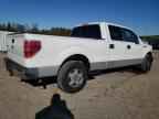 2009 FORD F-150