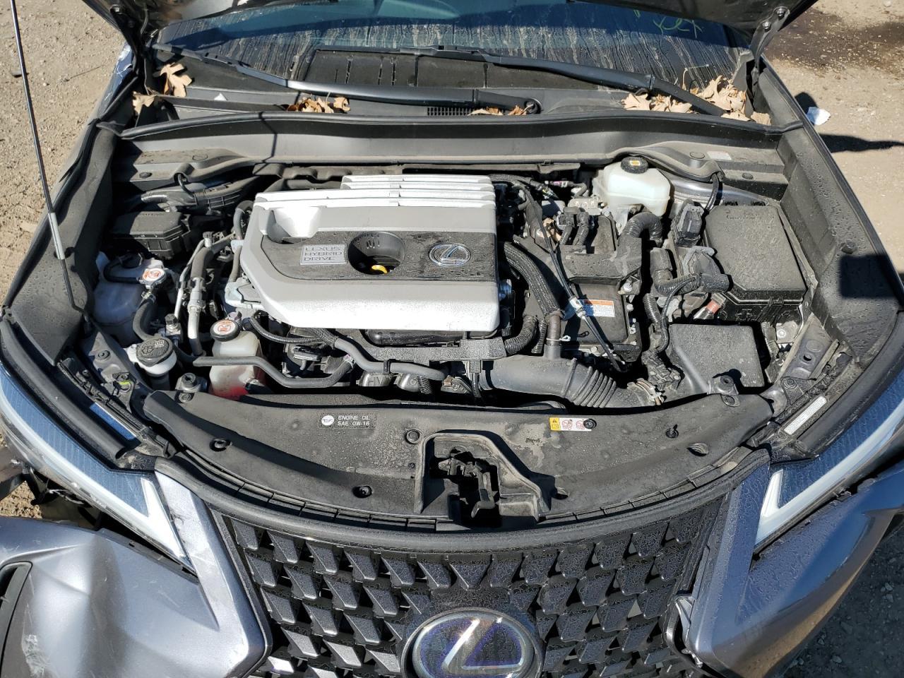 2020 LEXUS Ux
