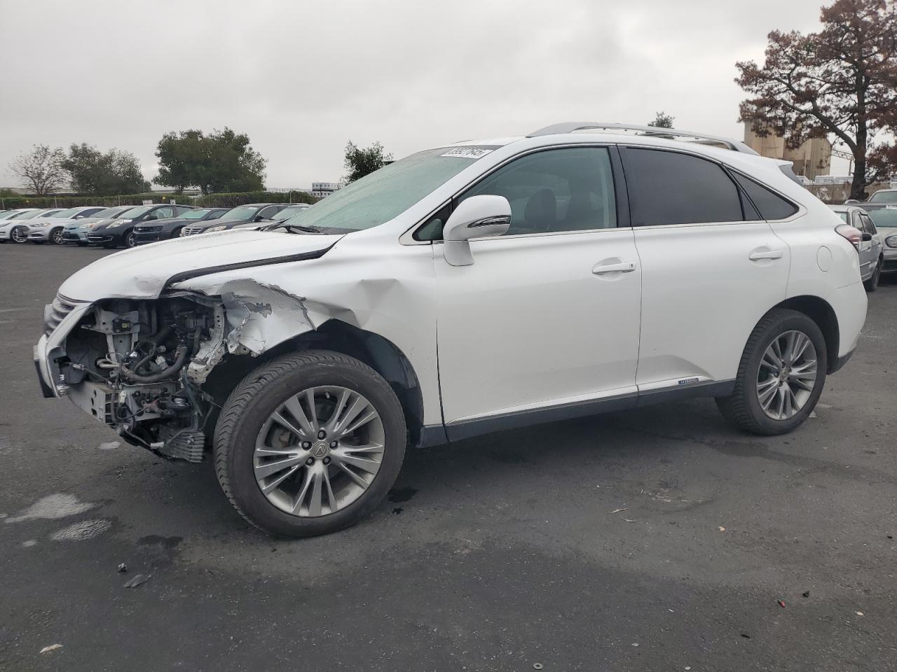 2013 LEXUS RX 450H
