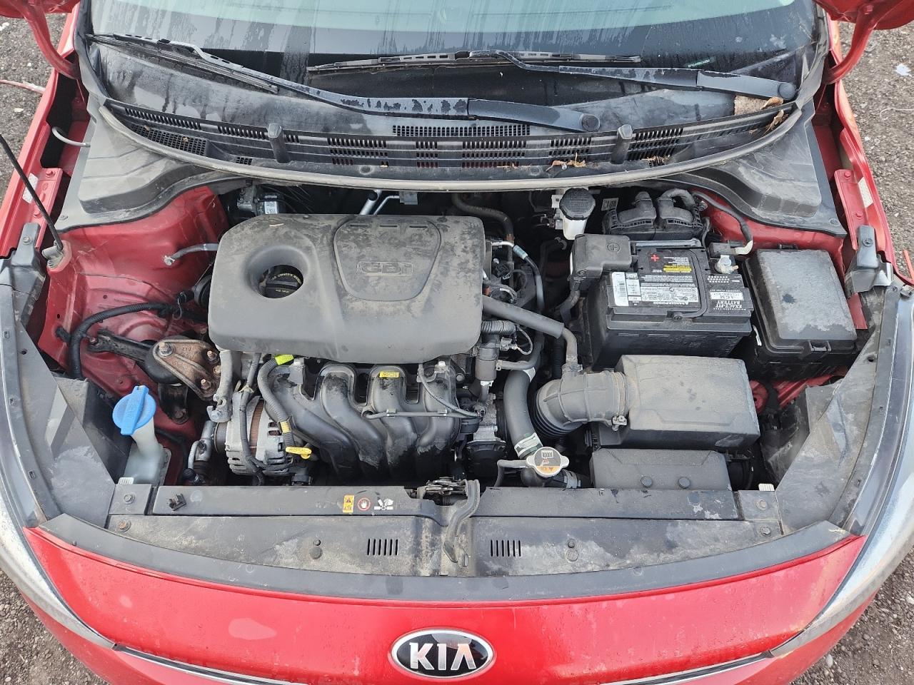 2019 KIA RIO