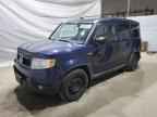 2010 HONDA Element