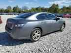 2014 NISSAN Maxima