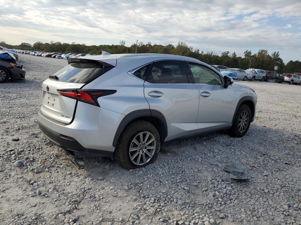 2019 LEXUS Nx