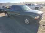 1999 DODGE Dakota