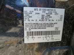 2009 LINCOLN MKX