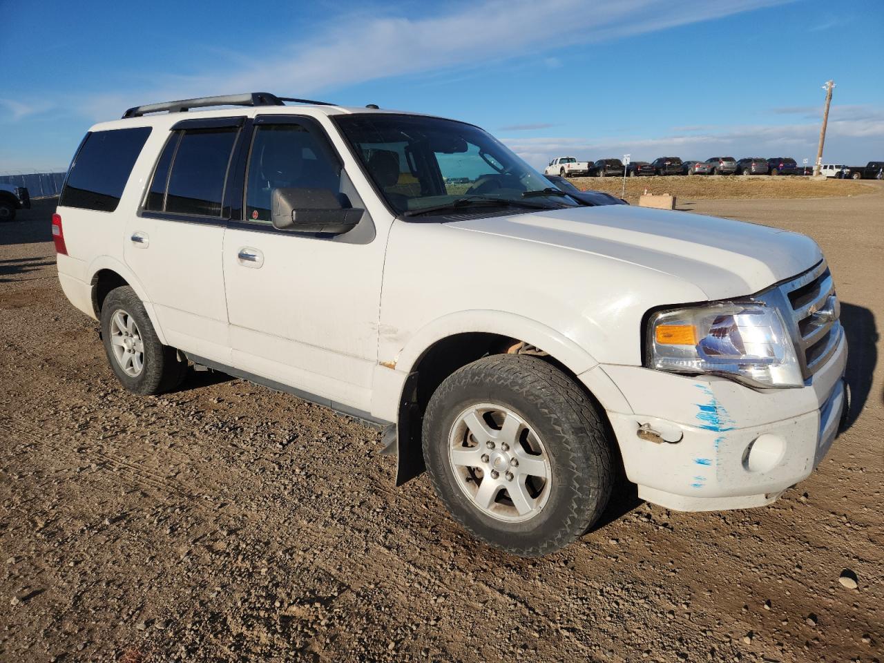 2010 FORD Expedition