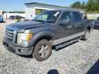 2009 FORD F-150