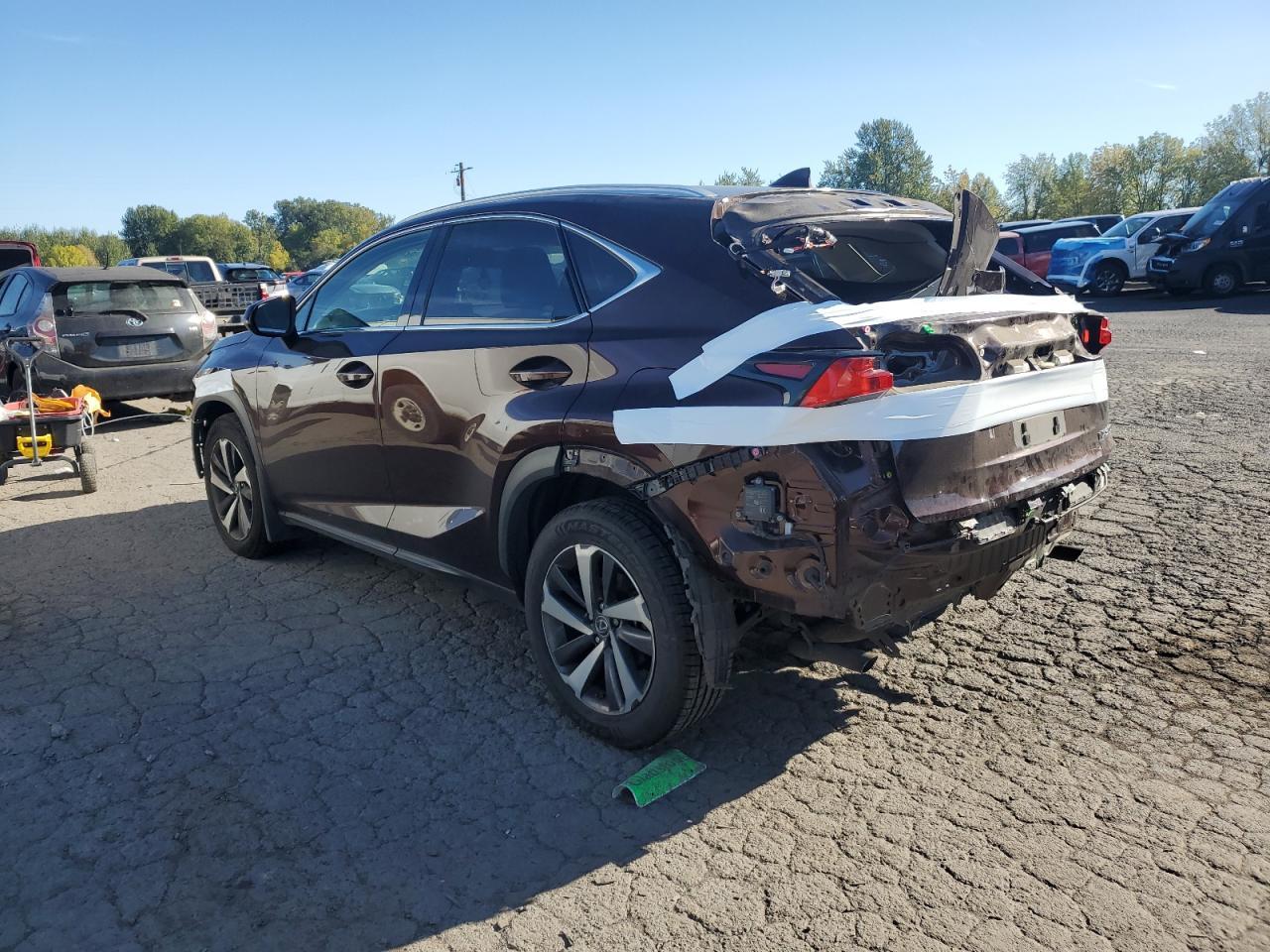 2019 LEXUS NX 300
