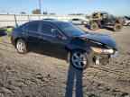 2010 ACURA TSX