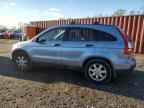 2007 HONDA CR-V