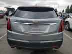 2024 CADILLAC XT5