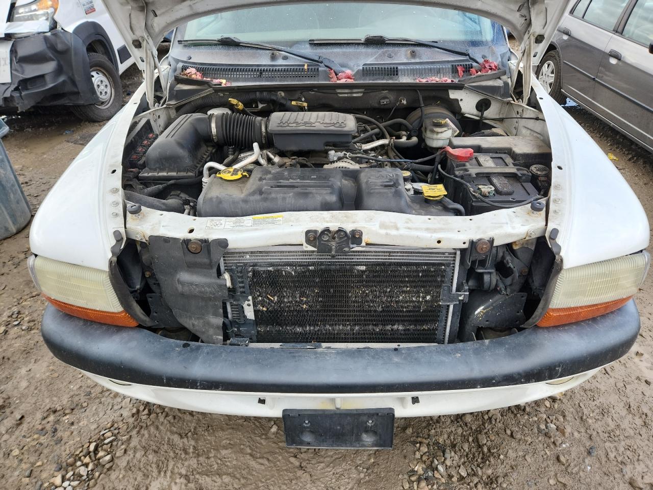 2004 DODGE Dakota
