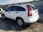 2010 HONDA CR-V