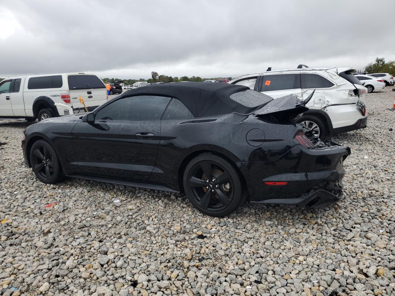2019 FORD MUSTANG