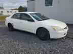2004 HONDA ACCORD