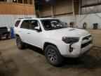2023 TOYOTA 4Runner