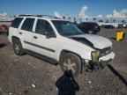 2004 CHEVROLET Trailblazer