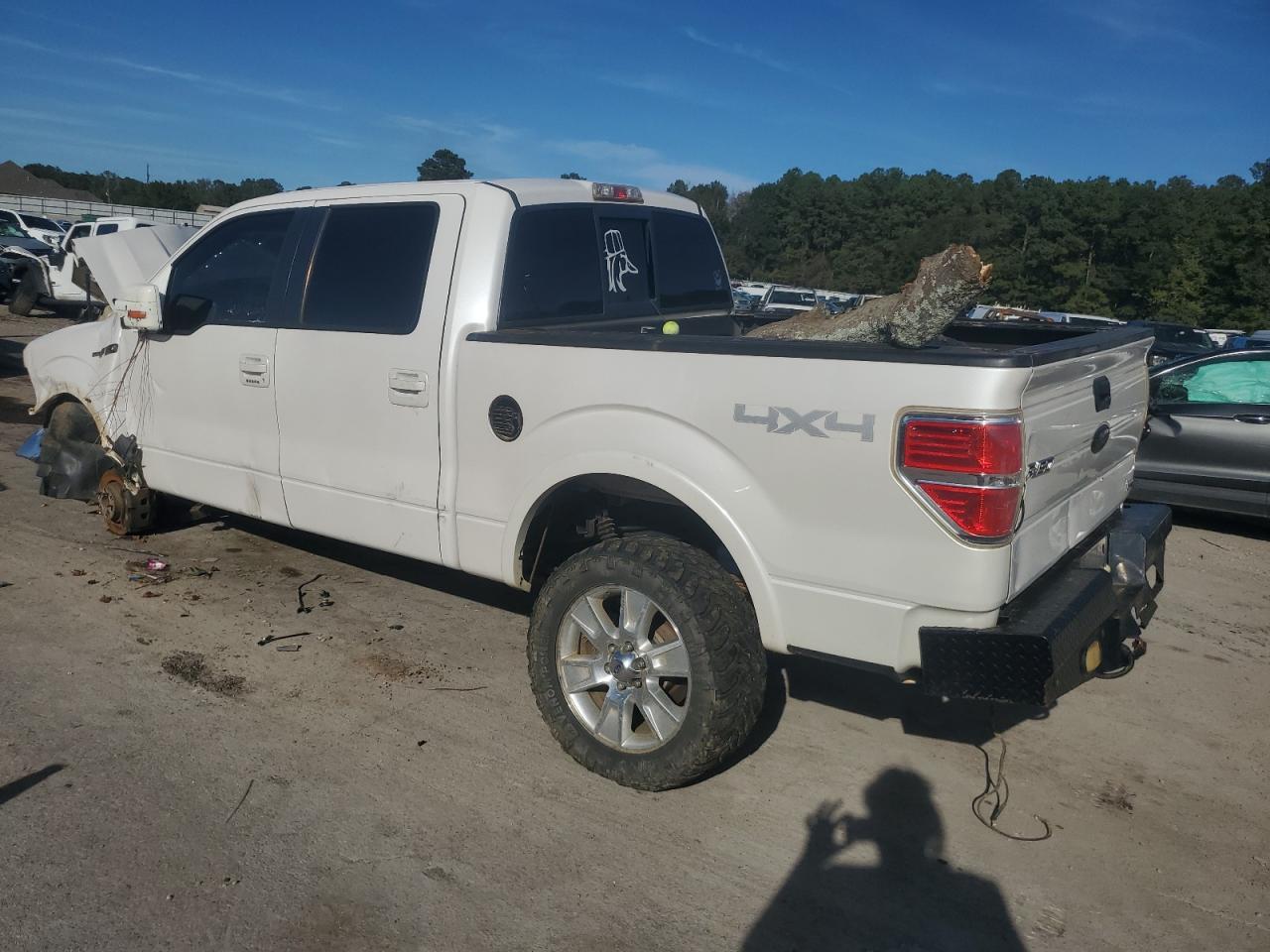 2010 FORD F-150