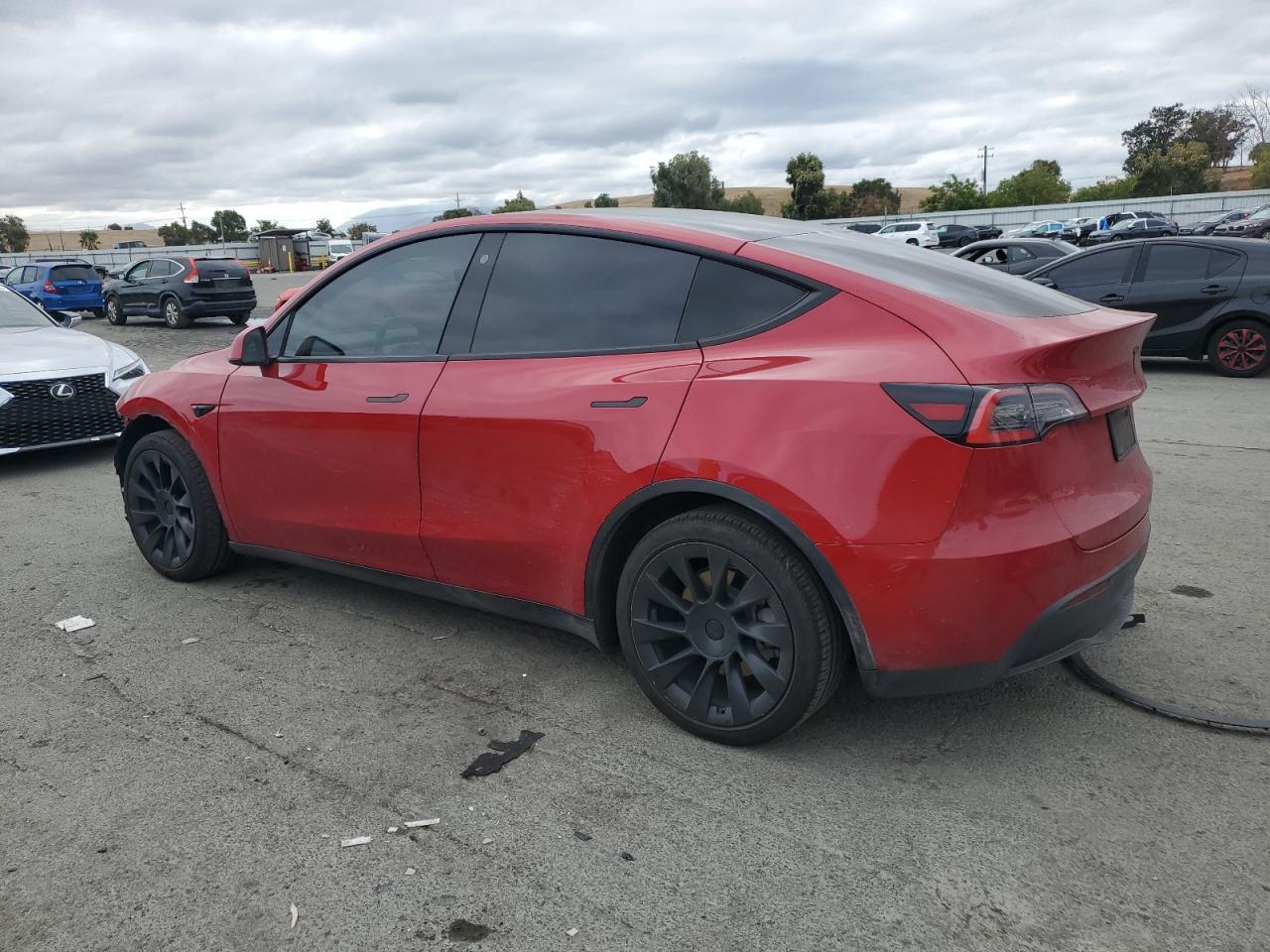 2021 TESLA MODEL Y