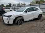 2025 LEXUS Ux