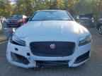 2017 JAGUAR XF