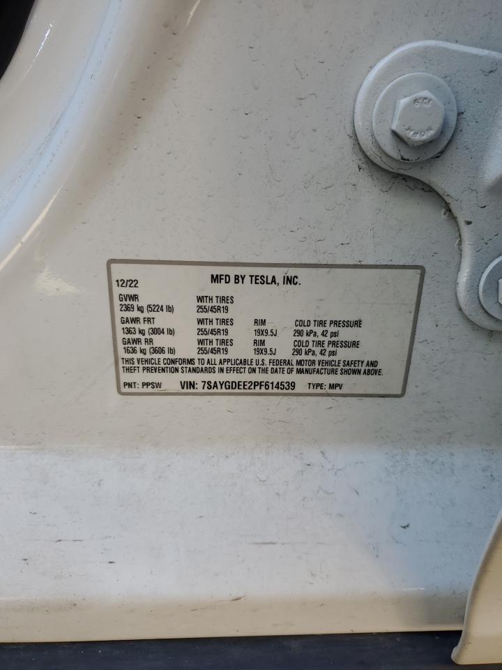2023 TESLA MODEL Y