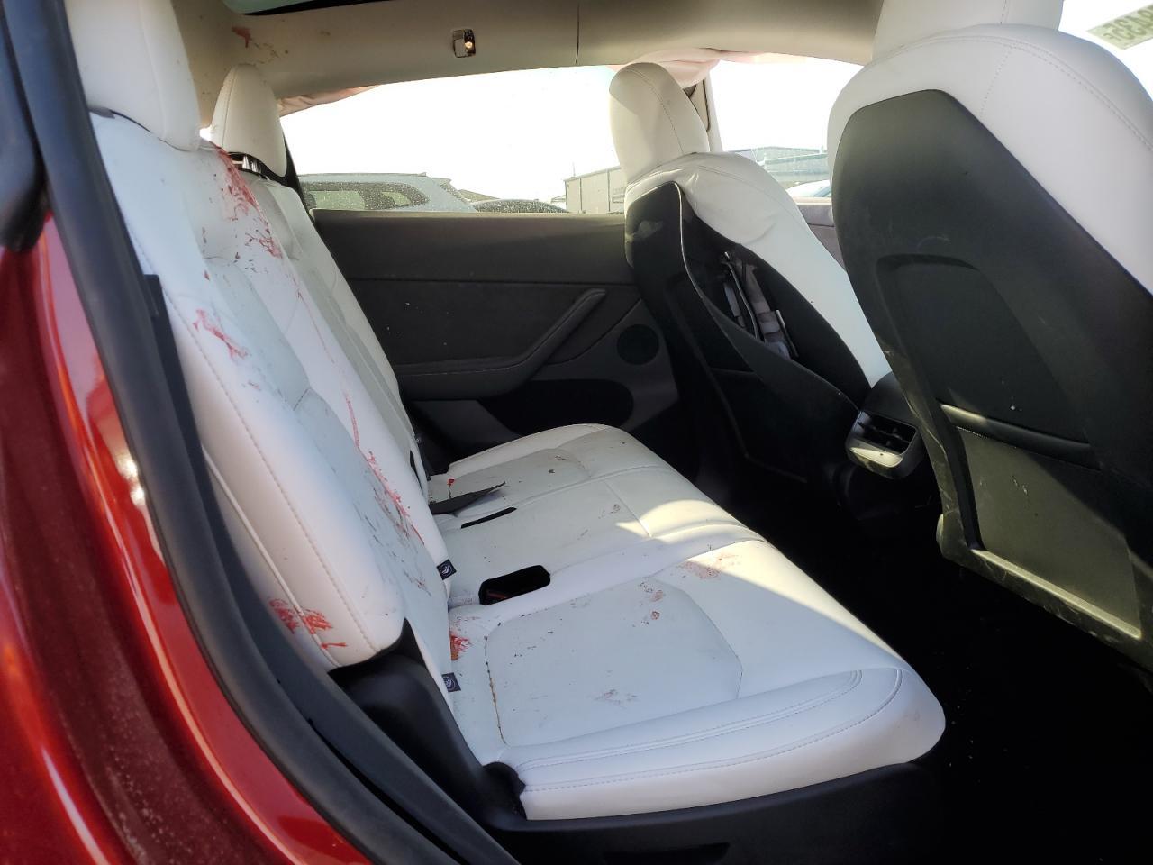 2025 TESLA MODEL Y
