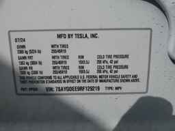 2024 TESLA MODEL Y