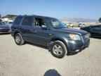 2006 HONDA PILOT