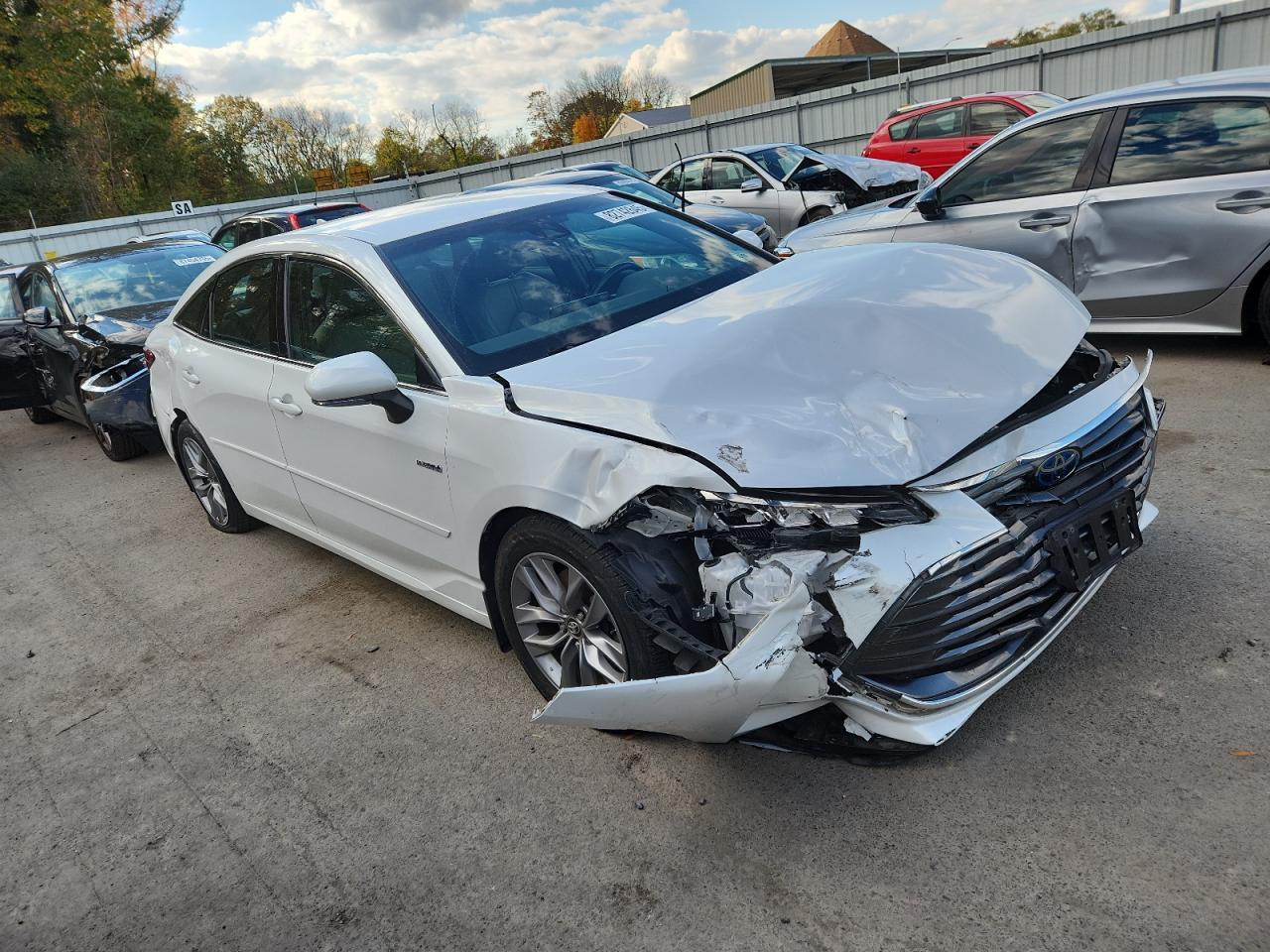 2019 TOYOTA Avalon