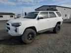 2024 TOYOTA 4Runner