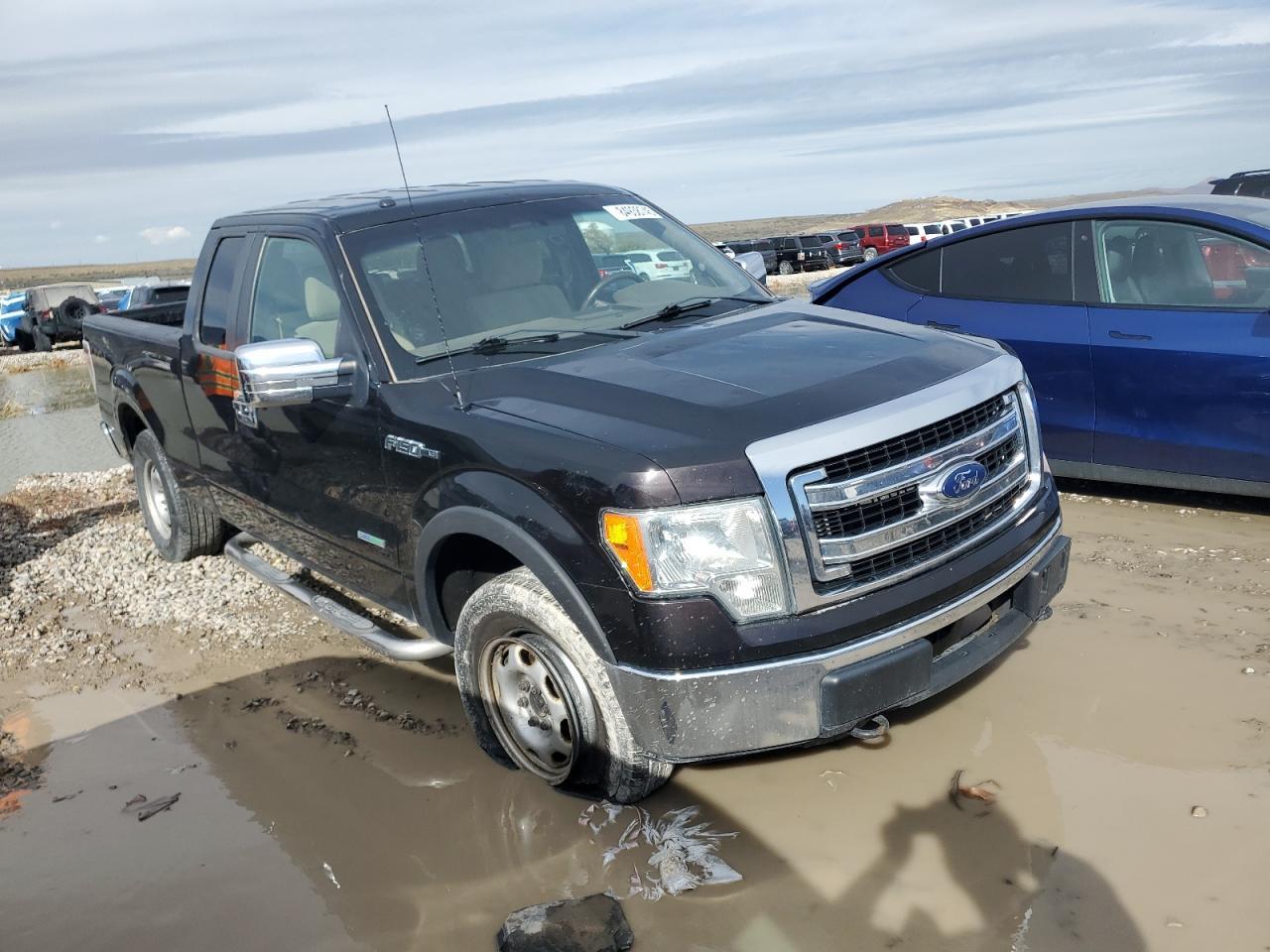 2013 FORD F-150