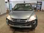 2010 HONDA CR-V