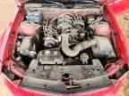 2005 FORD MUSTANG