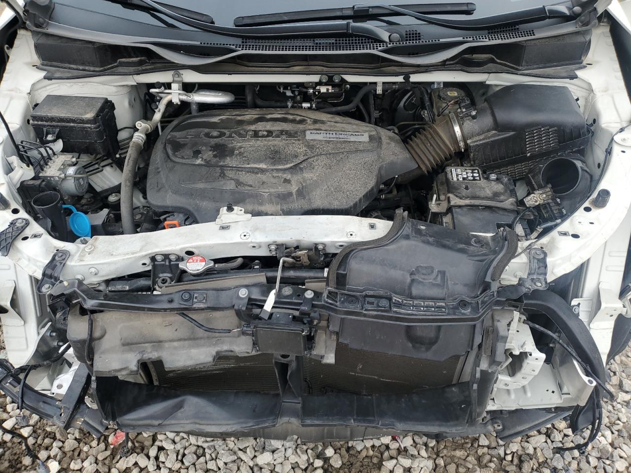 2019 HONDA ODYSSEY
