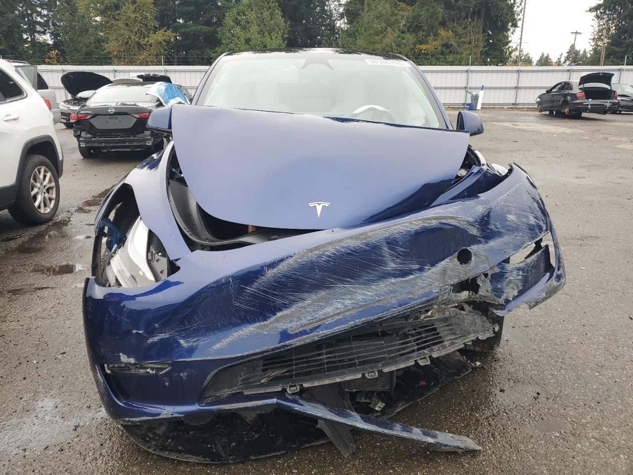 2024 TESLA MODEL Y