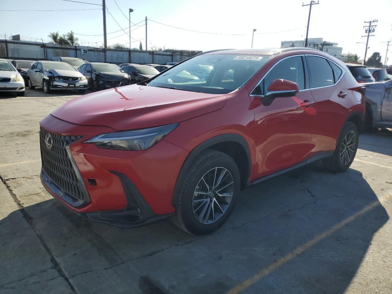 2025 LEXUS Nx