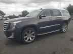 2017 CADILLAC ESCALADE