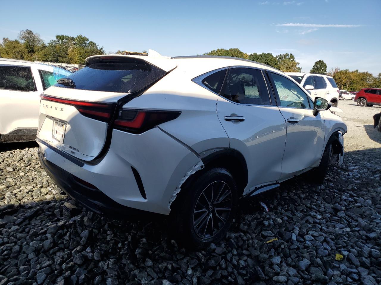 2025 LEXUS Nx