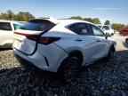 2025 LEXUS Nx